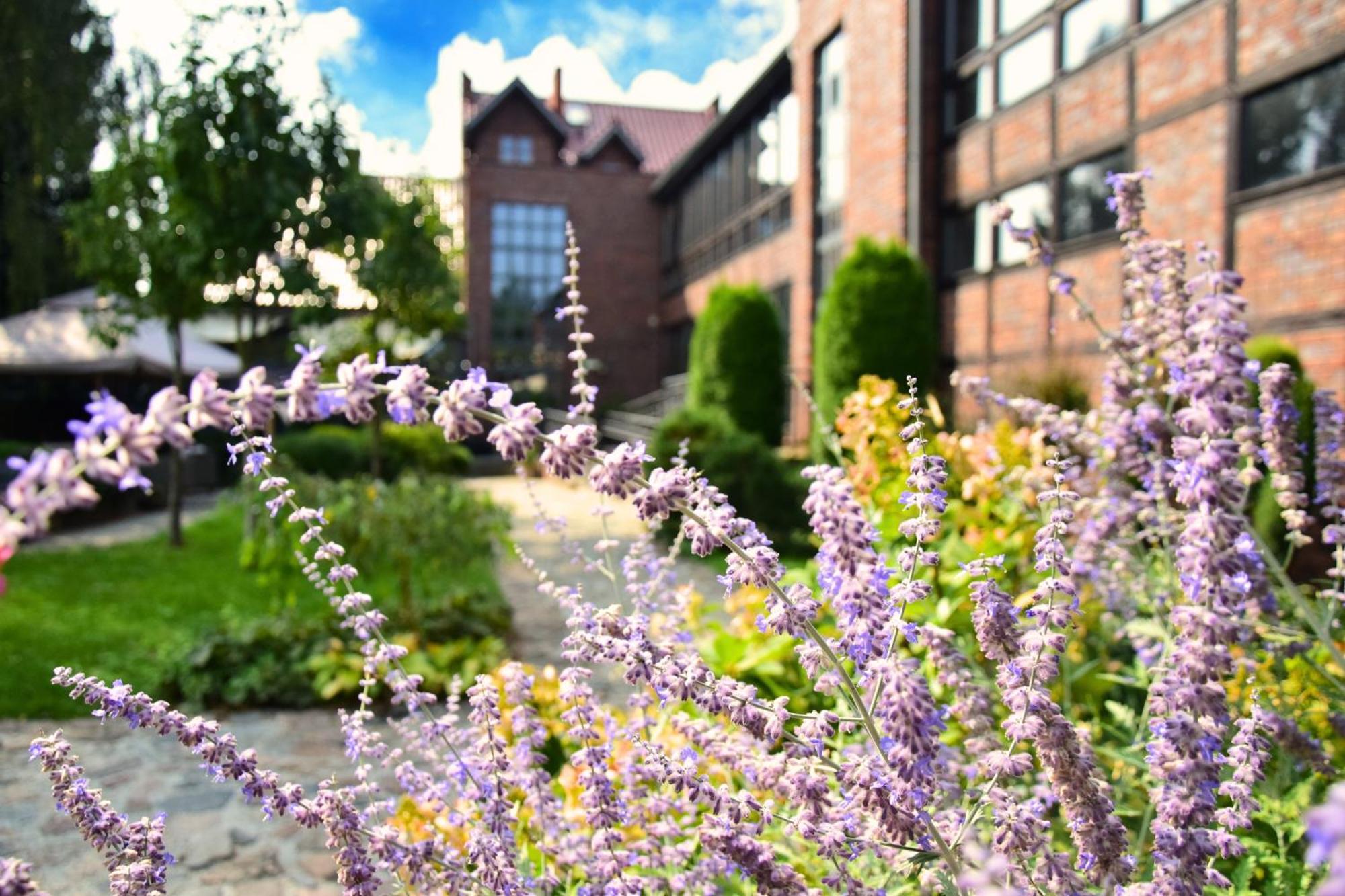 Hotel Wartoslaw Wronke Exterior foto